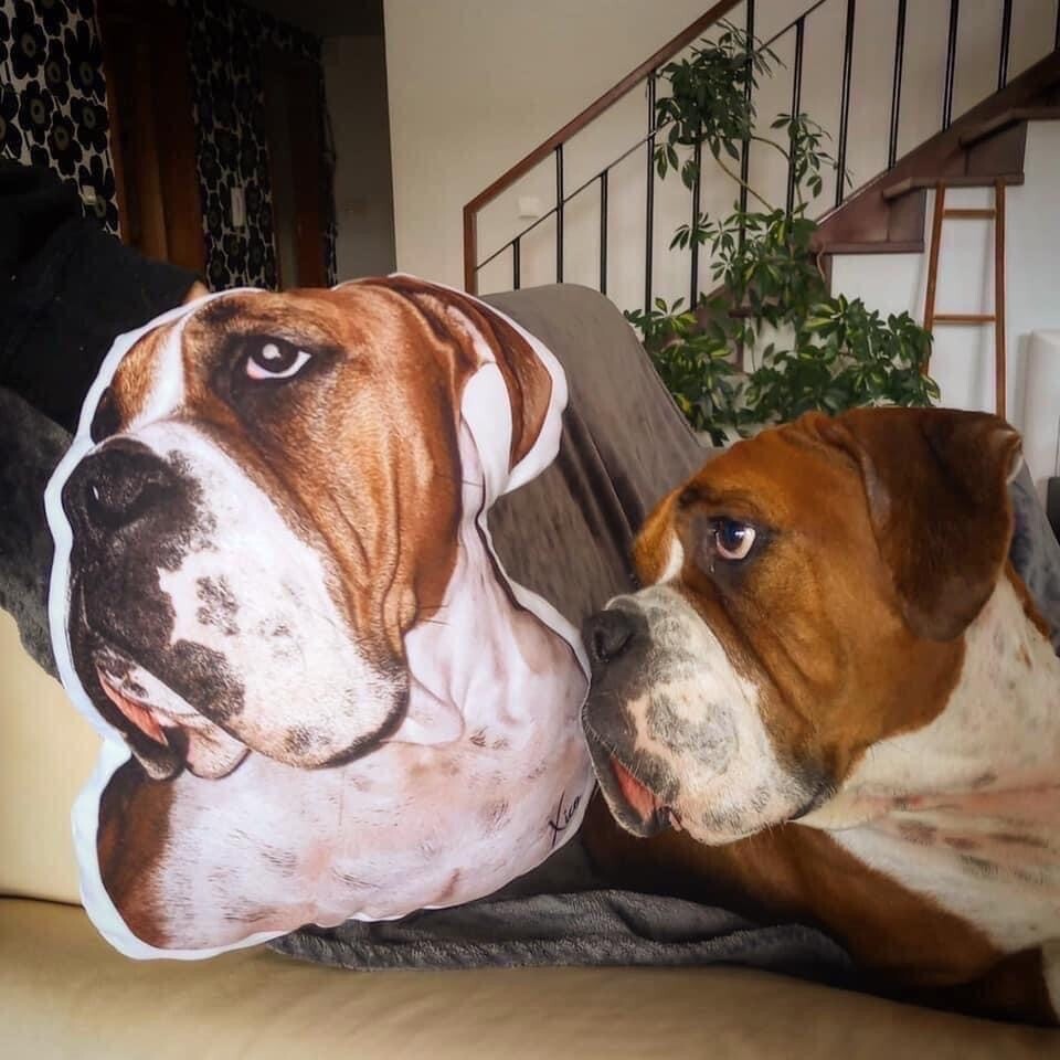 Almofada personalizada 3D