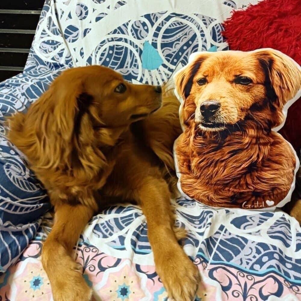 Almofada personalizada 3D