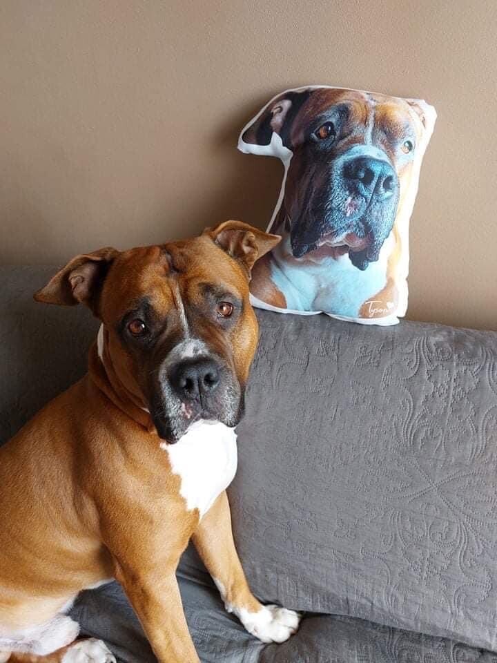 Almofada personalizada 3D