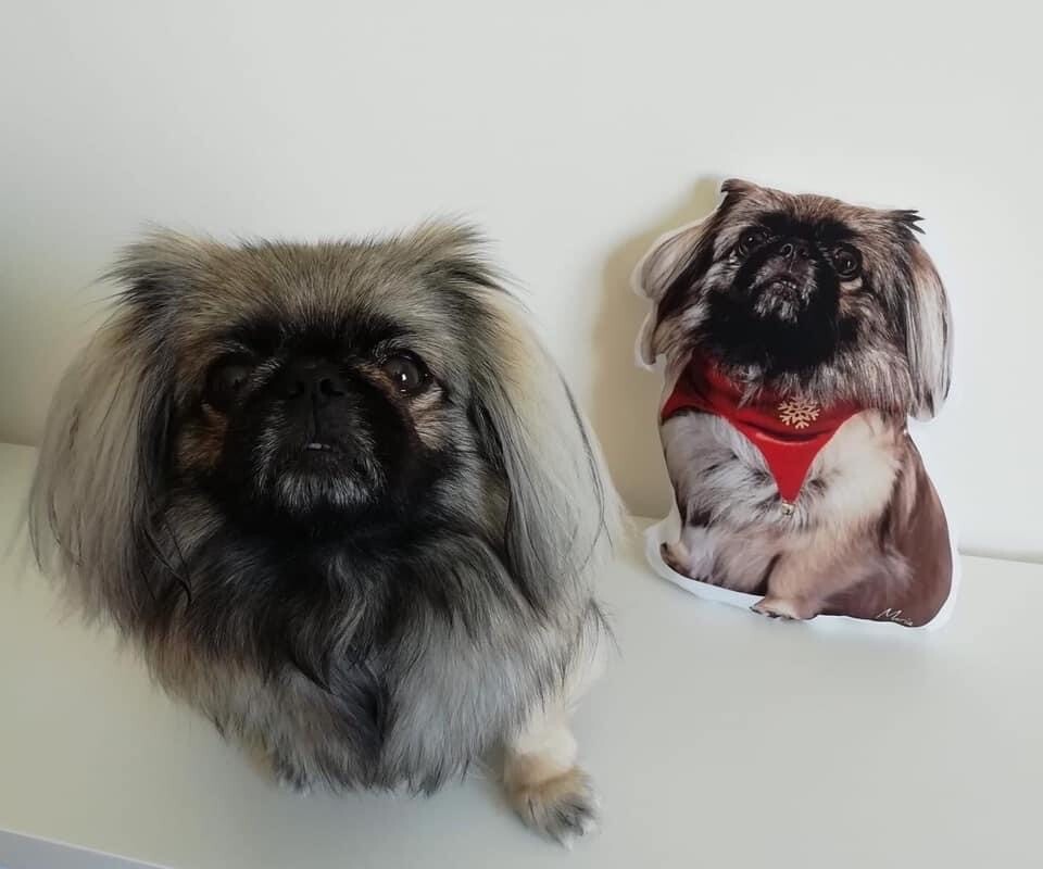Almofada personalizada 3D