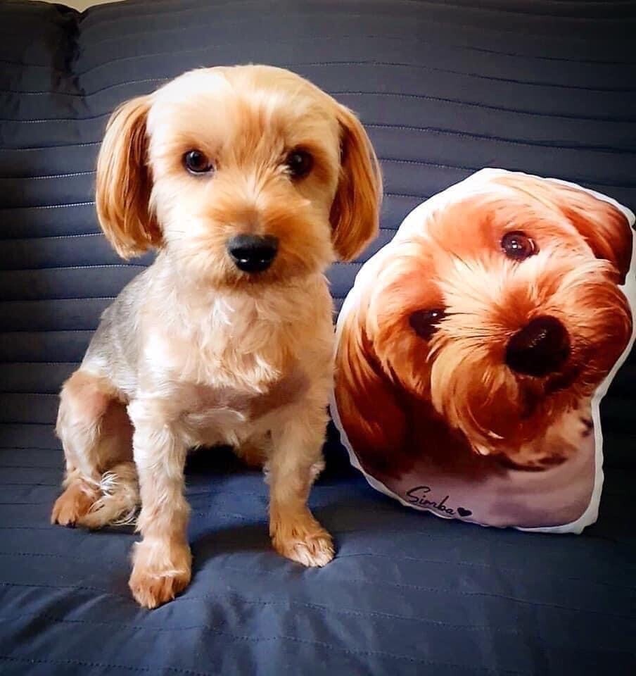 Almofada personalizada 3D