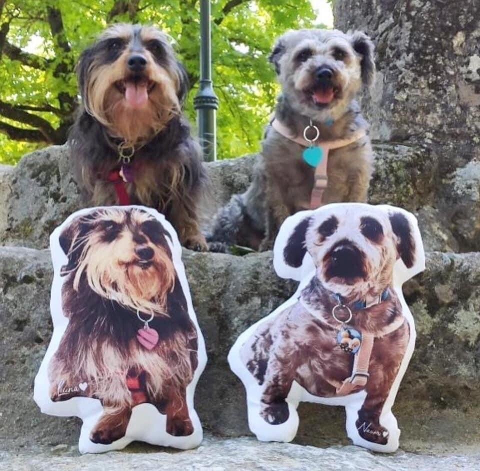 Almofada personalizada 3D
