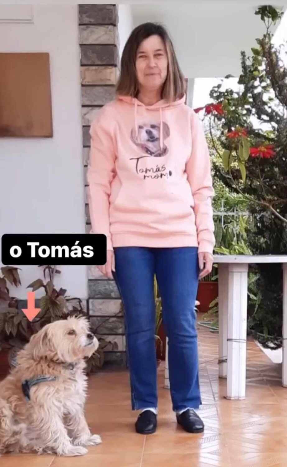 Sweatshirt cardadas UNISSEXO com capuz