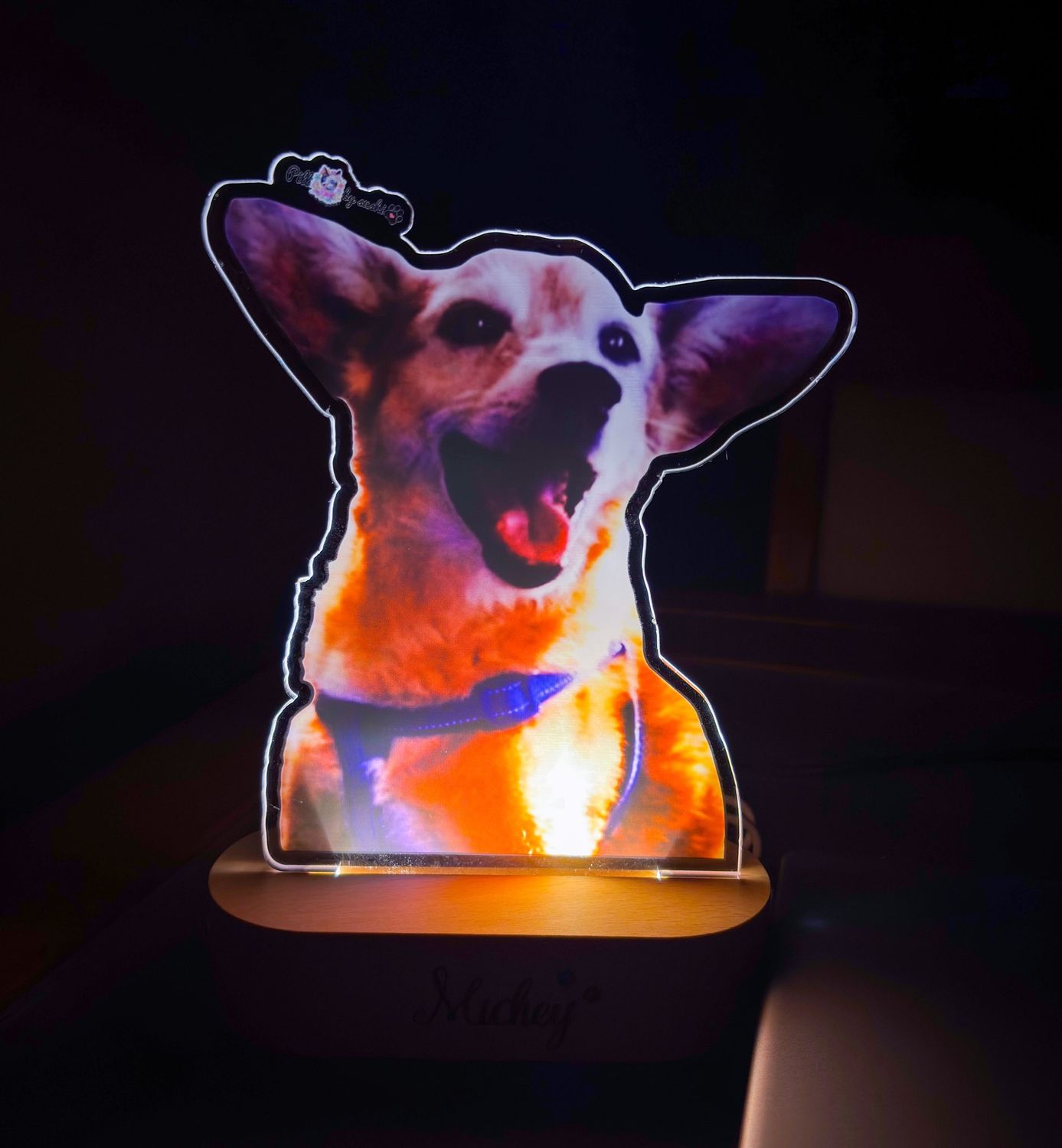 LED 1 imagrm