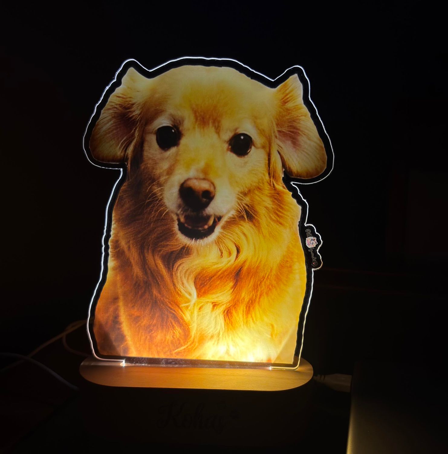 LED 1 imagrm