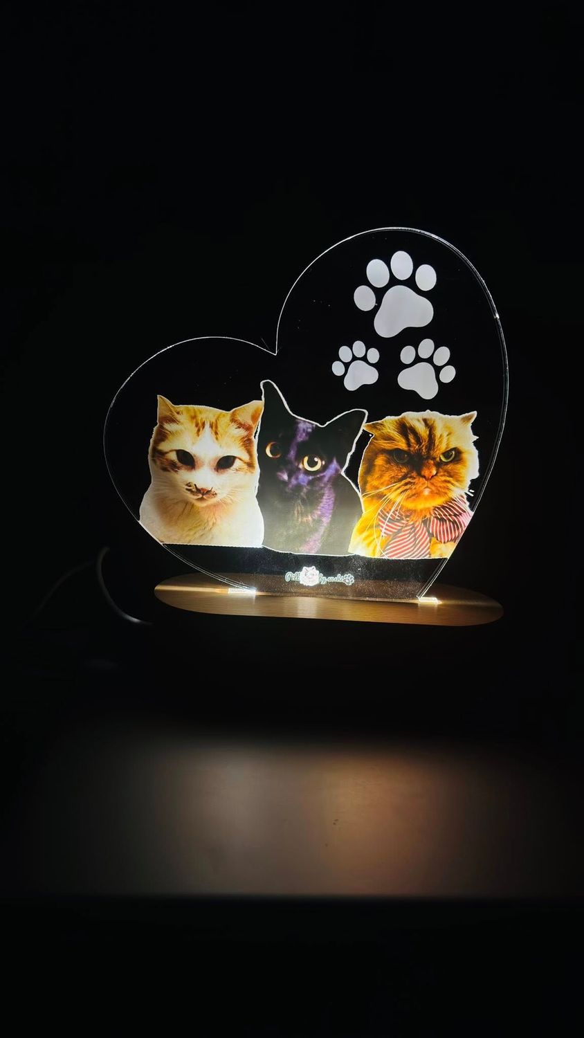LeD varias imagens