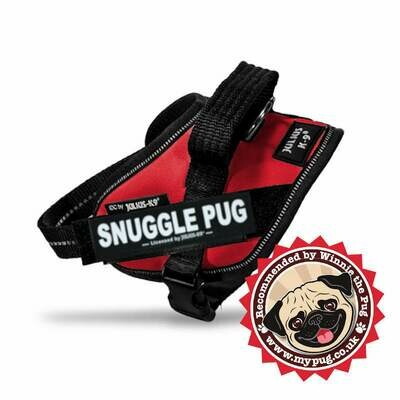 Pug Harnesses &amp; Leads