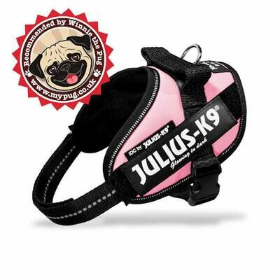 Julius-K9 Harness Pink