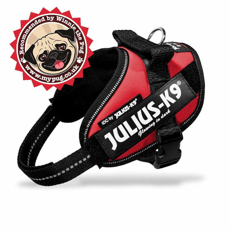 Julius-K9 Harness Red