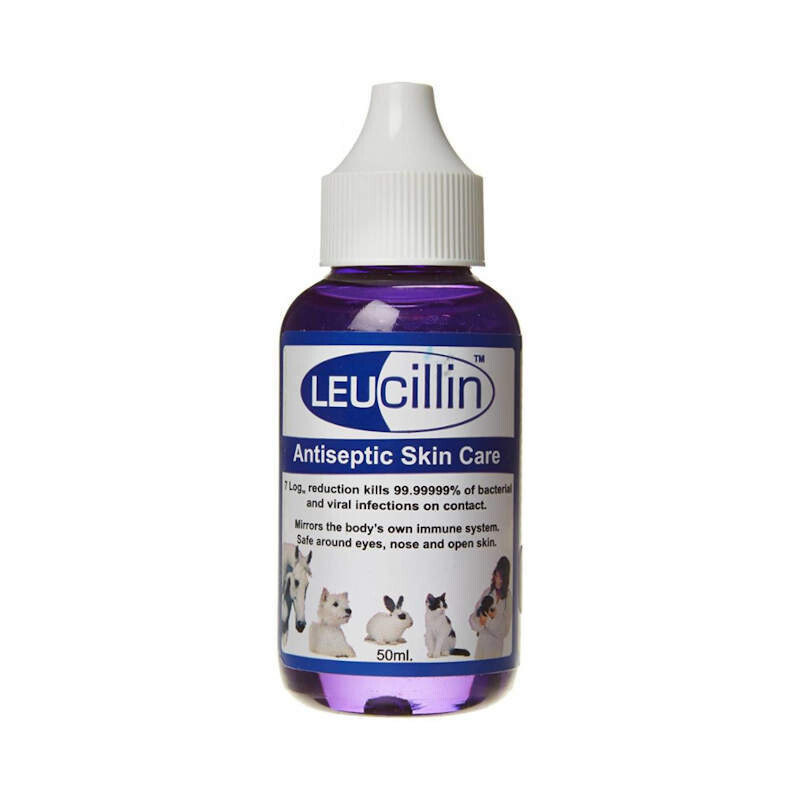 Leucillin | Antiseptic Skincare for Dogs