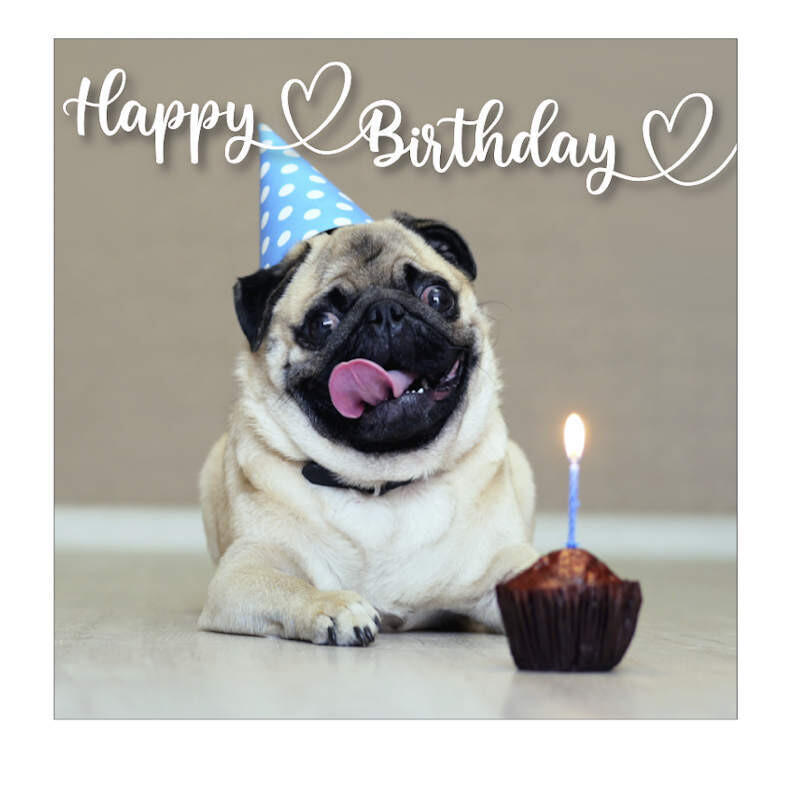 Pug Birthday Card