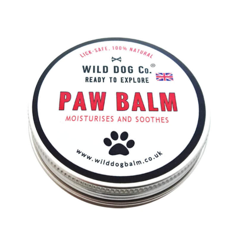 Paw Balm | The Wild Dog Co.