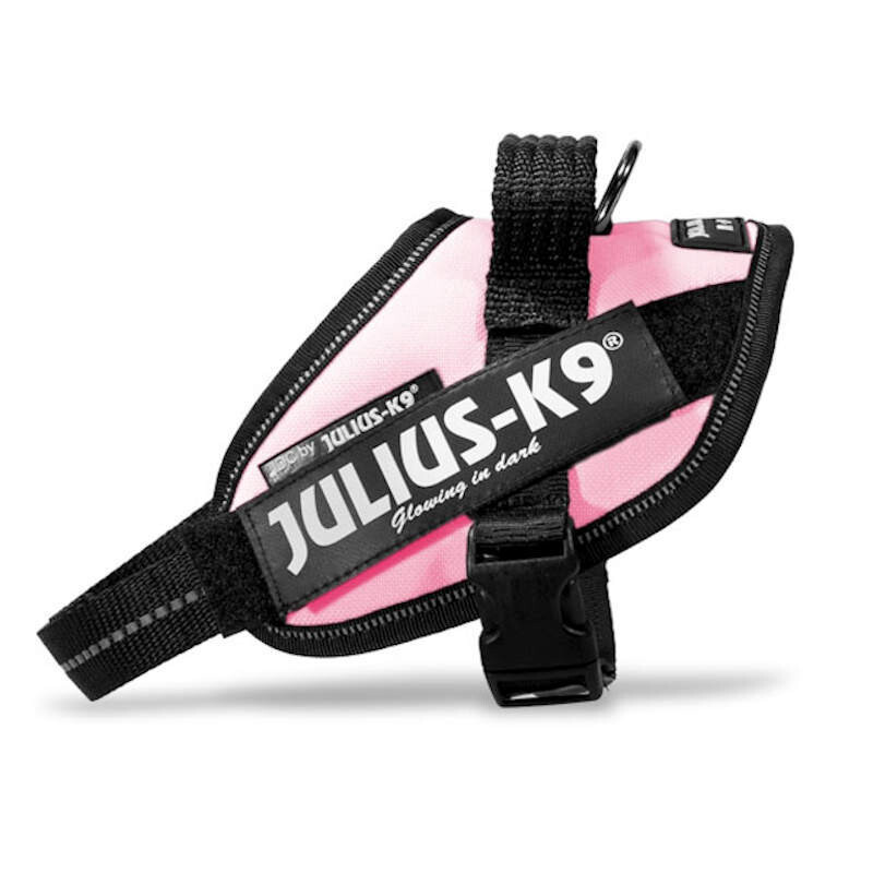 Julius-K9 Harness Pink