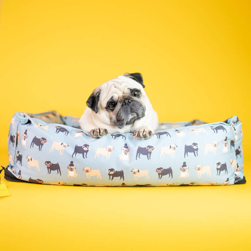 Pug Dog Bed by Fenella Smith