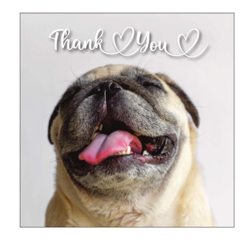 Pug Thank You Card