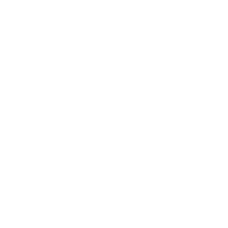 ARGENTUM PLUVIAM