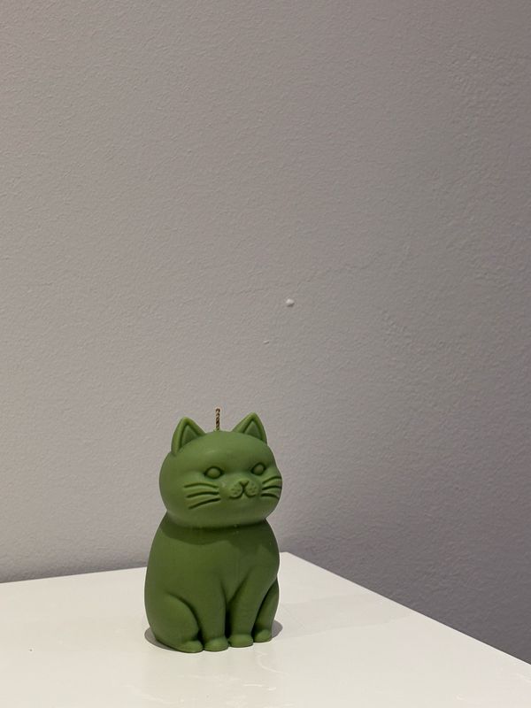 Gato Pasi