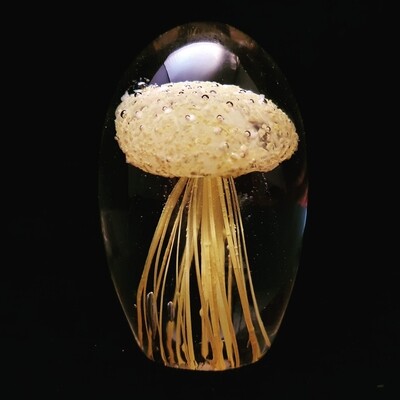 Small Jellyfish * Glow in the Dark 