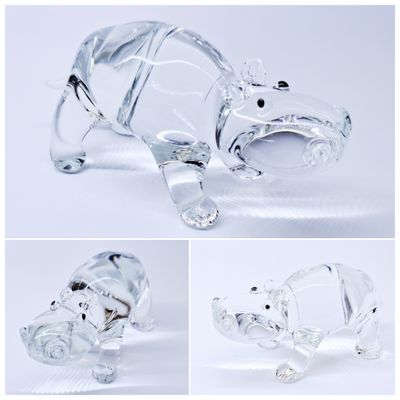 Hippopotamus