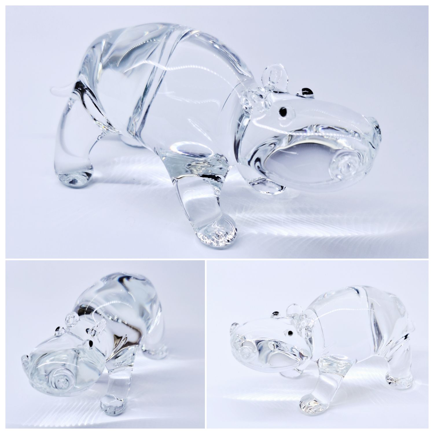 Hippopotamus