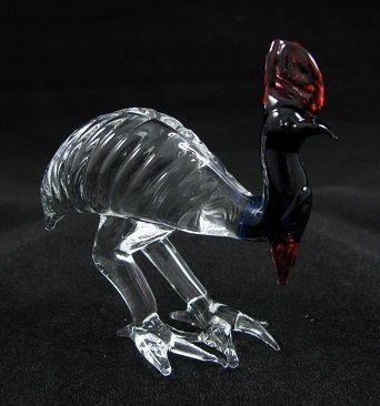 Cassowary Cassowary