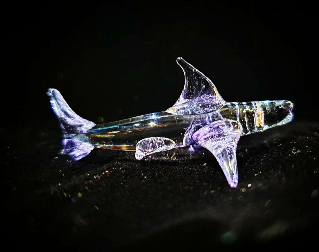 Miniature Shark