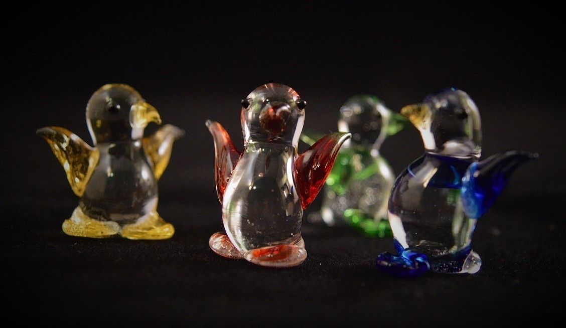 Miniature Penguin