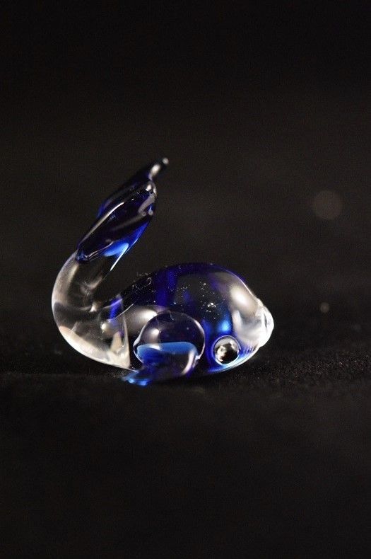 Miniature Whale