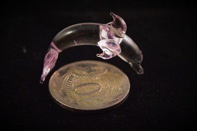 Miniature Dolphin