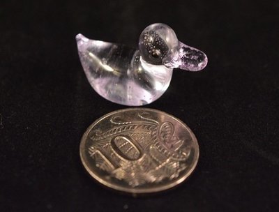 Miniature Duck