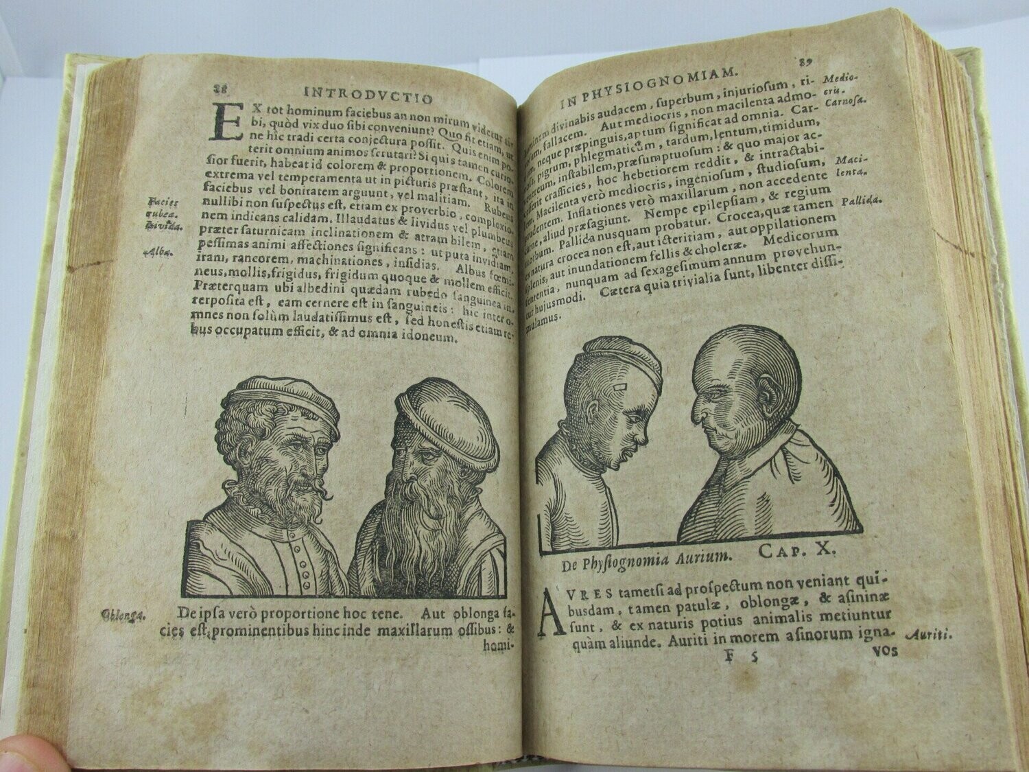 Antique Astrologia 1630 Fisionomia del Huomo