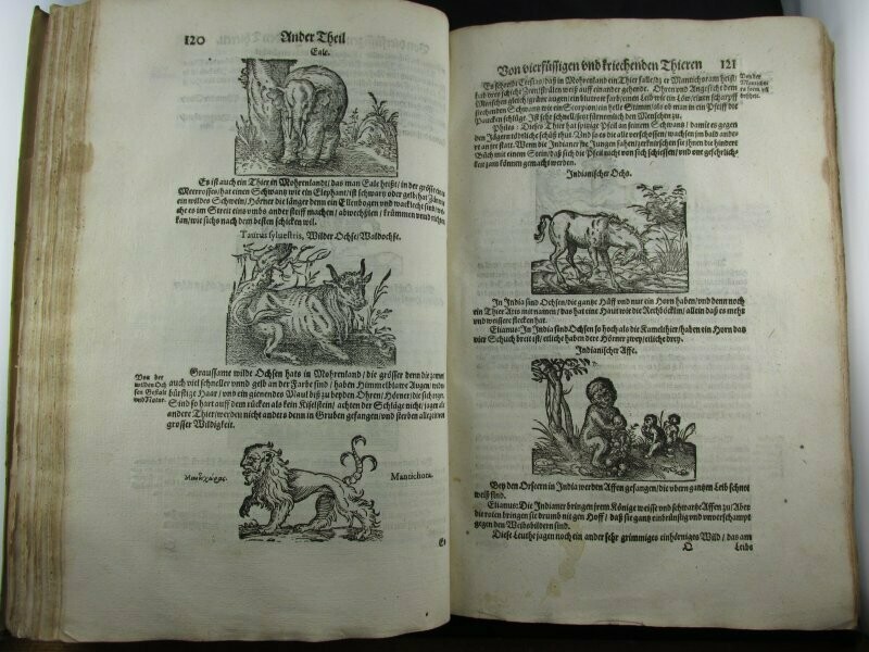 1600 Pliny the Elder Natural History German text woodcuts medicine zoology birds