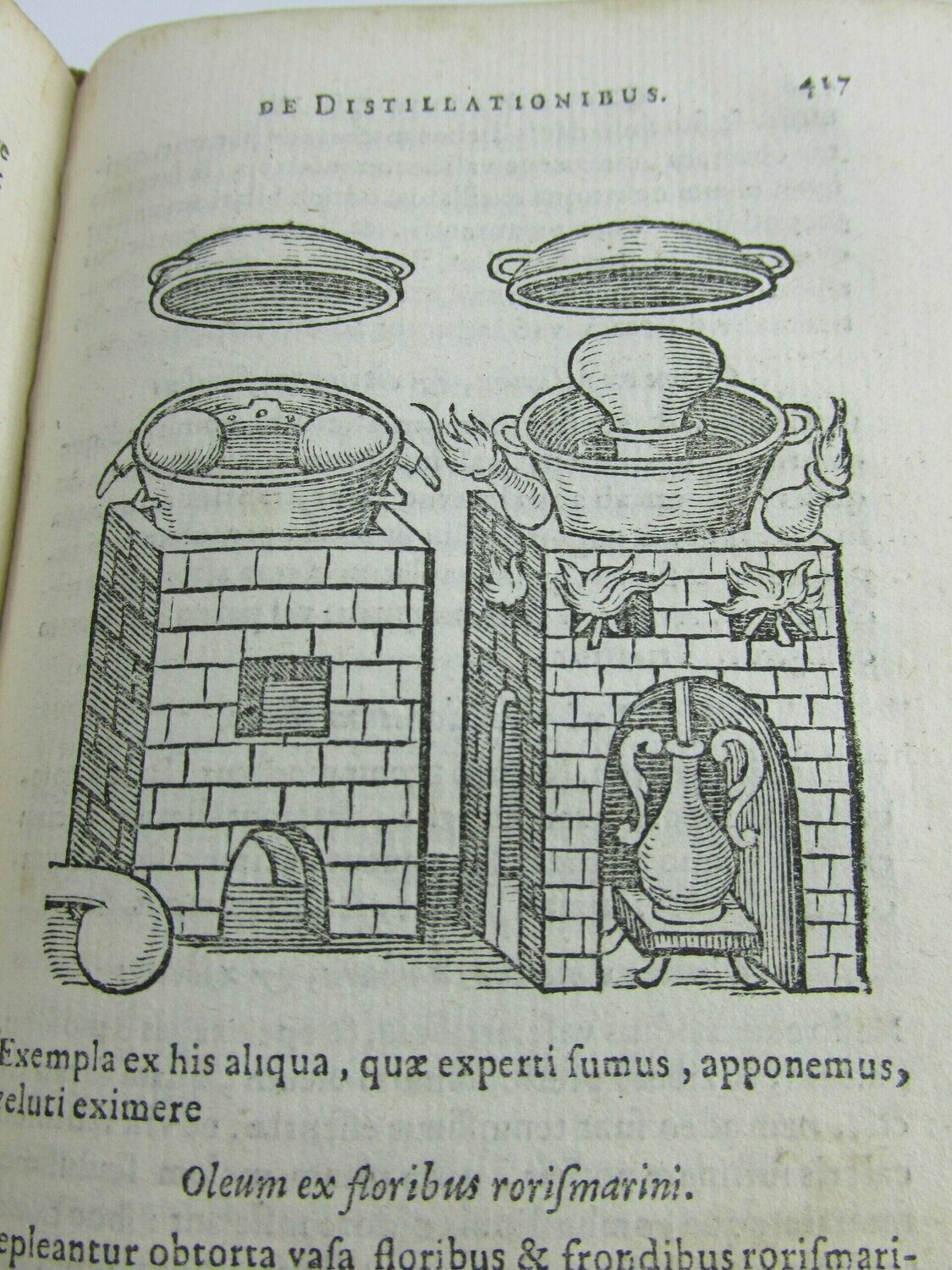 1651 BOTANICAL JOHANN BAPTIST PORTA MAGIAE NATURALIS MANY WOODCUTS