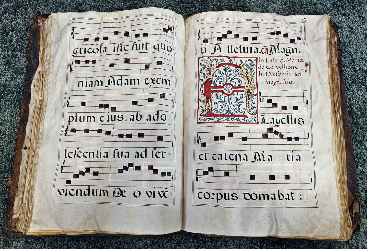Amazing Monumental 1738 Illuminated Elephant Folio Antiphonary on Vellum Sebastian Laraña Complete 50.7 lbs Amazing Monumental 1738 Illuminated Elephant Folio Antiphonary on Vellum Sebastian Laraña Complete 50.7 lbs