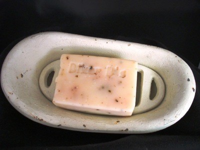 Verbena Grapefruit