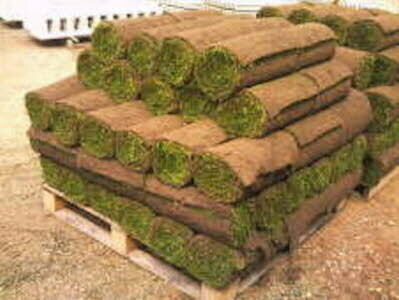Standard Grade Cultivated Turf, Sold In m2 Rolls