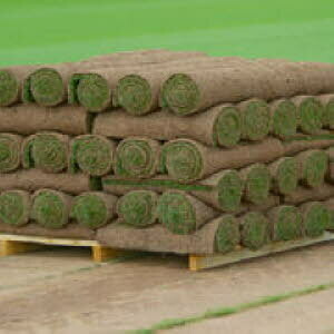Top Grade Cultivated Turf, Sold In m2 Rolls