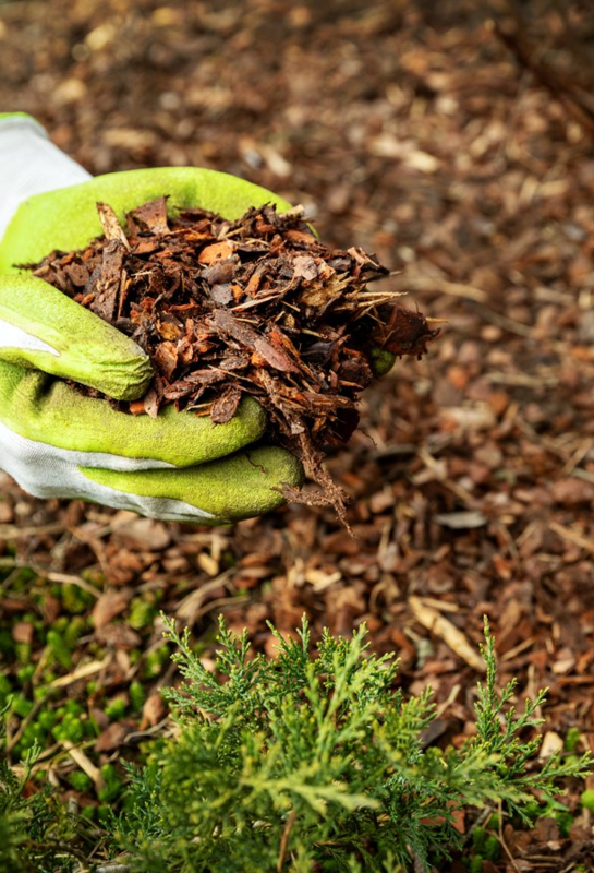 Bulk Soil, Bark & Compost