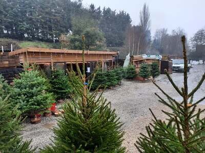 Christmas Shop