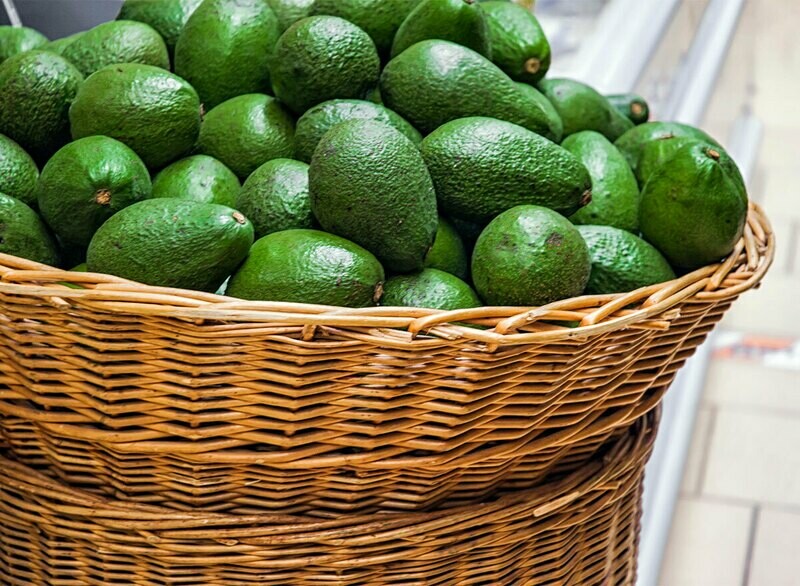 Ugandan Avocaado