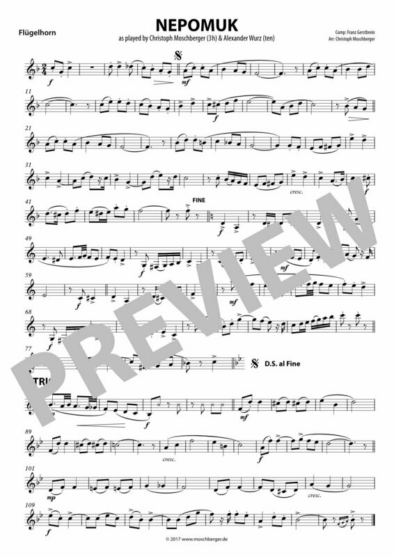 &quot;Nepomuk Polka&quot;