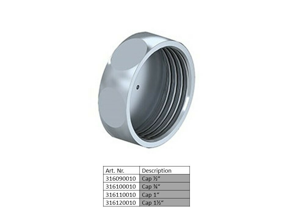 Cap for moisture drain