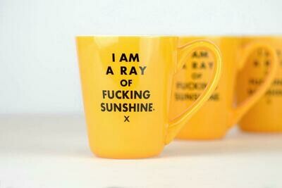 I Am a Ray of Fucking Sunshine Mug