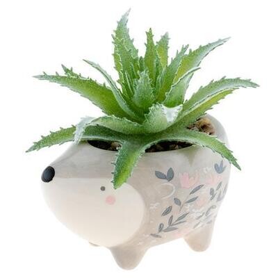 Hedgehog Shaped Succulent Pot