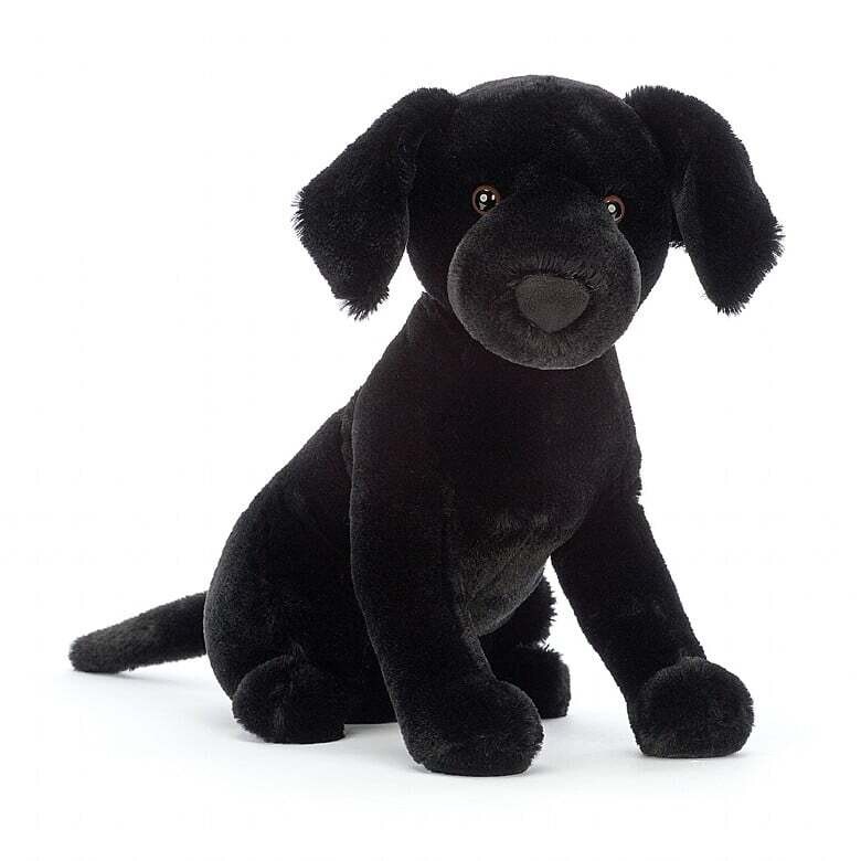 Pippa Black Labrador (4)
