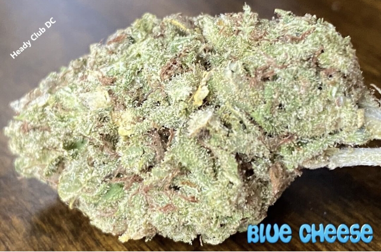 Blue Cheese (Exotic)