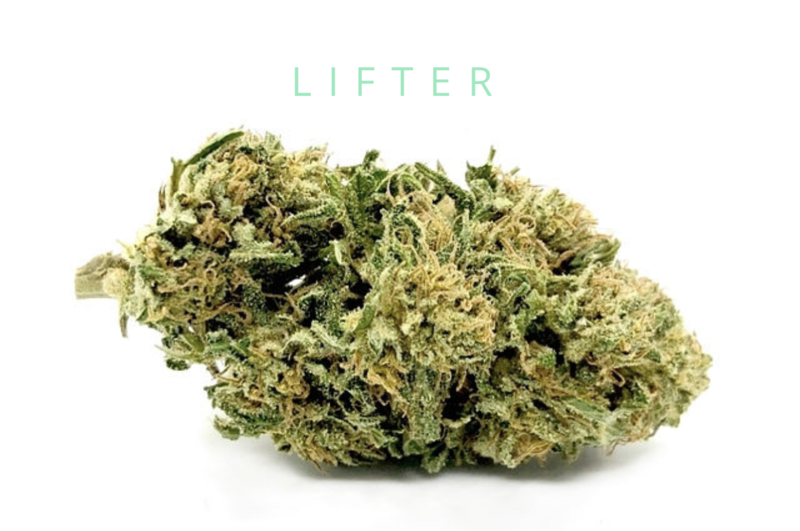 Lifter (CBD)