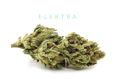 Elektra (CBD)