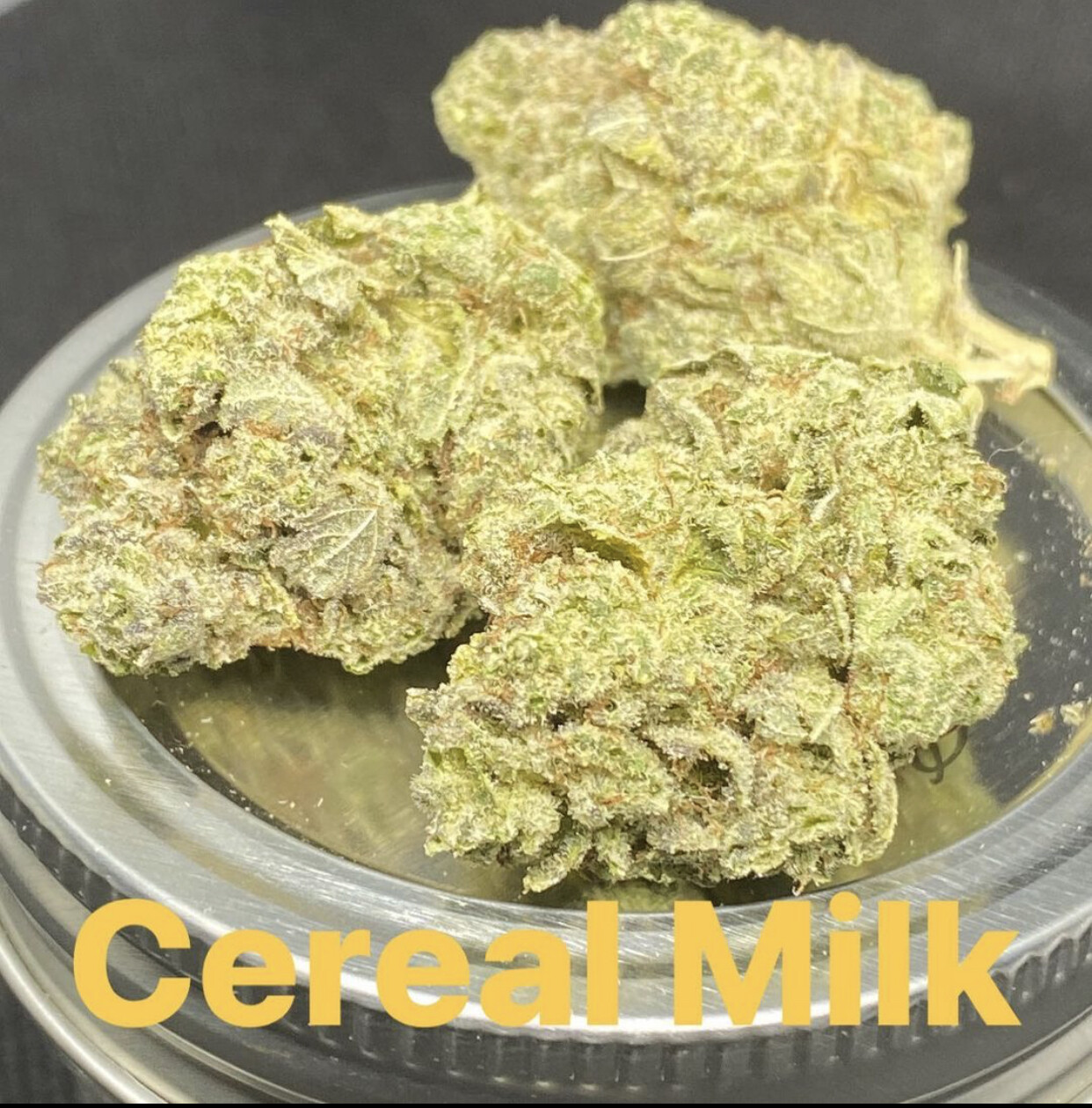 Cereal Milk (Exotic) - Hybrid
