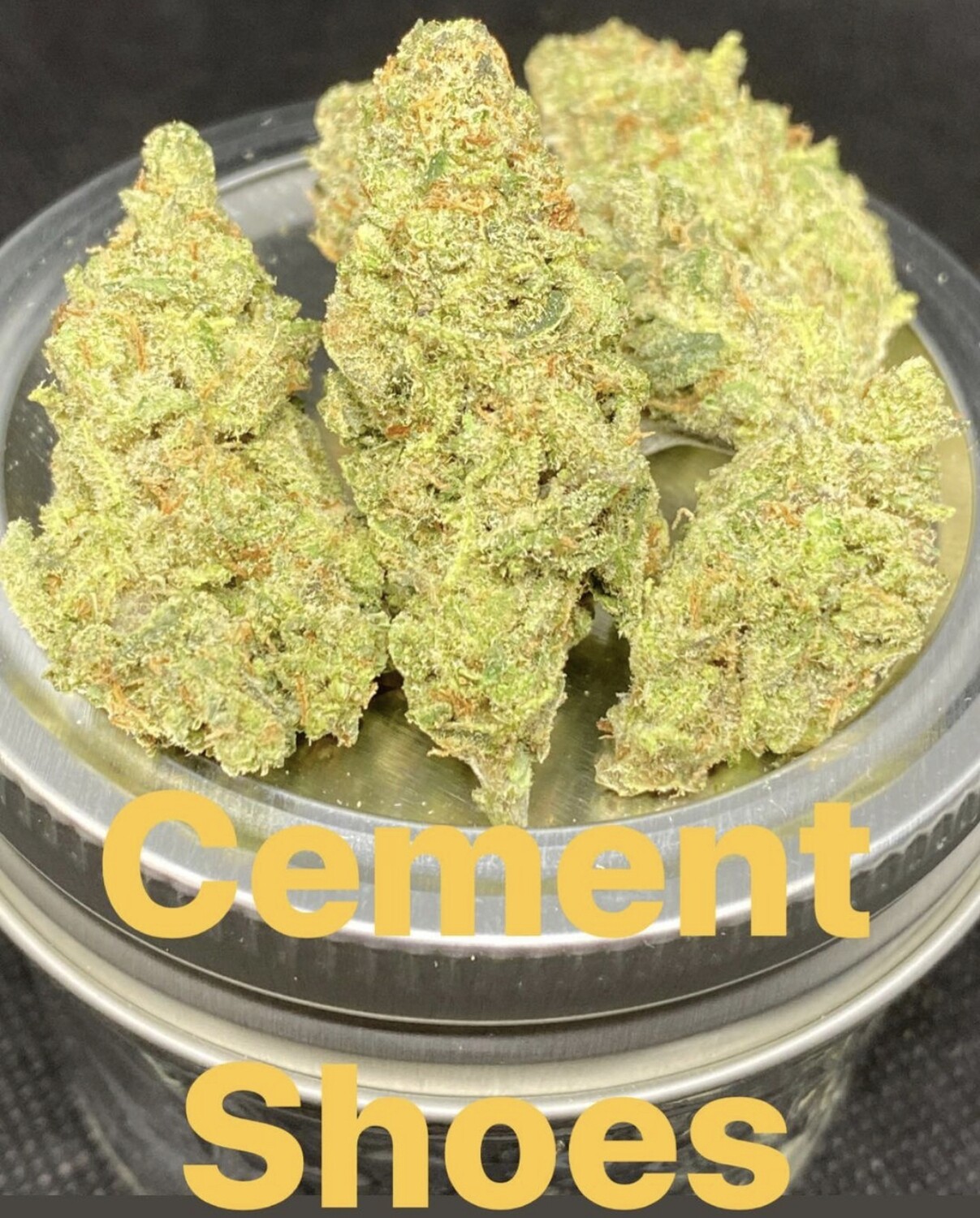 Cement Shoes (Exotic) - Indica